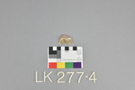 LK 277.004