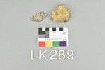 LK 289.001