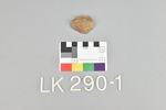LK 290.001