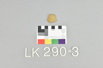 LK 290.002