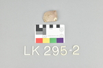 LK 295.002