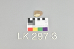 LK 297.003