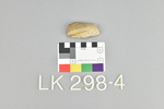 LK 298.004