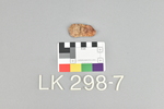 LK 298.007