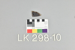 LK 298.010