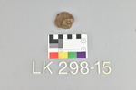 LK 298.015