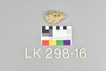 LK 298.016