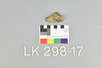 LK 298.017