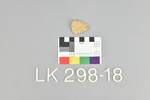 LK 298.018