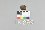 LK 299.001