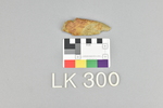 LK 300.001