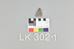 LK 302.001