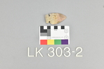 LK 303.002