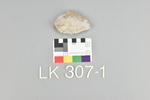 LK 307.001