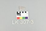 LK 307.003