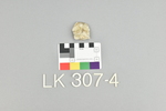 LK 307.004