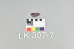 LK 307.007