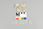LK 307.008