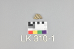 LK 310.001