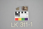 LK 311.001