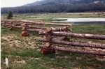 Log-worm fence by M. Miller