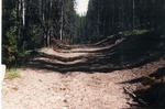 Elk Creek Trail by M. Miller