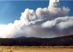 Deadwood Summit fire by M. Miller