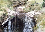 Rock dams in Bearskin on headcuts in creek by M. Miller