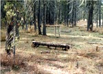 Table and bench, Wyoming Creek Trailhead by M. Miller