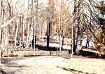Deadwood Summit Fire by M. Miller