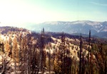 Deadwood Summit fire by M. Miller