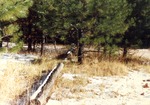 Warm Springs Trailhead by M. Miller
