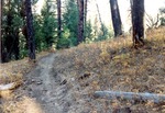 Deadwood Ridge Trail