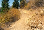 Deadwood Ridge Trail