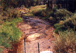 Culvert on Sack Creek on the Bear Valley road. by Monte Miller