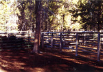 Nameless Creek Corrals. by Monte Miller