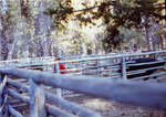 Nameless Creek Corrals. by Monte Miller