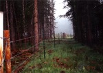 Elk Creek Drift fence near Jensens Cabin. by Monte Miller