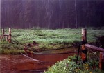 Elk Creek drift fence and Water gap on Bearskin Creek near Jensens cabin. by Monte Miller
