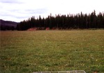 Little East Fork Meadow by Monte Miller