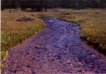 Sack Creek by Monte Miller