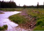 Elk Creek by Monte Miller
