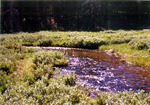 Cache Creek by Monte Miller
