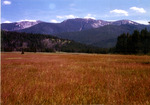 Ayers Meadow by Monte Miller