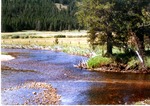 Bear Valley Creek by Monte Miller
