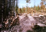 Ridge between Bearskin and Cook Creek drainages by Monte Miller