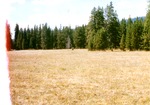 Pole Creek Meadow by Monte Miller