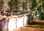 Nameless Creek corrals by Monte Miller