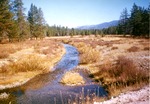Wyoming Creek by Monte Miller