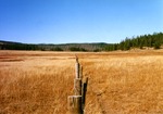 Big Meadows by Monte Miller